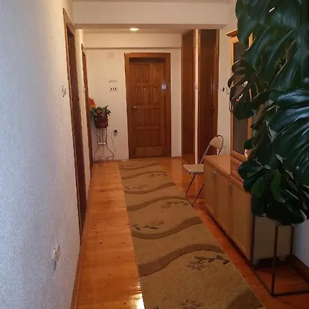 Apartment Little Village Plav Exterior photo