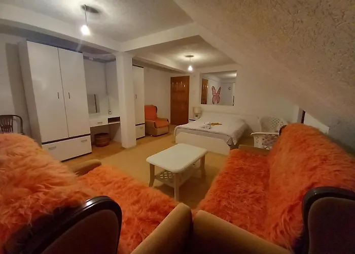 Apartment Little Village