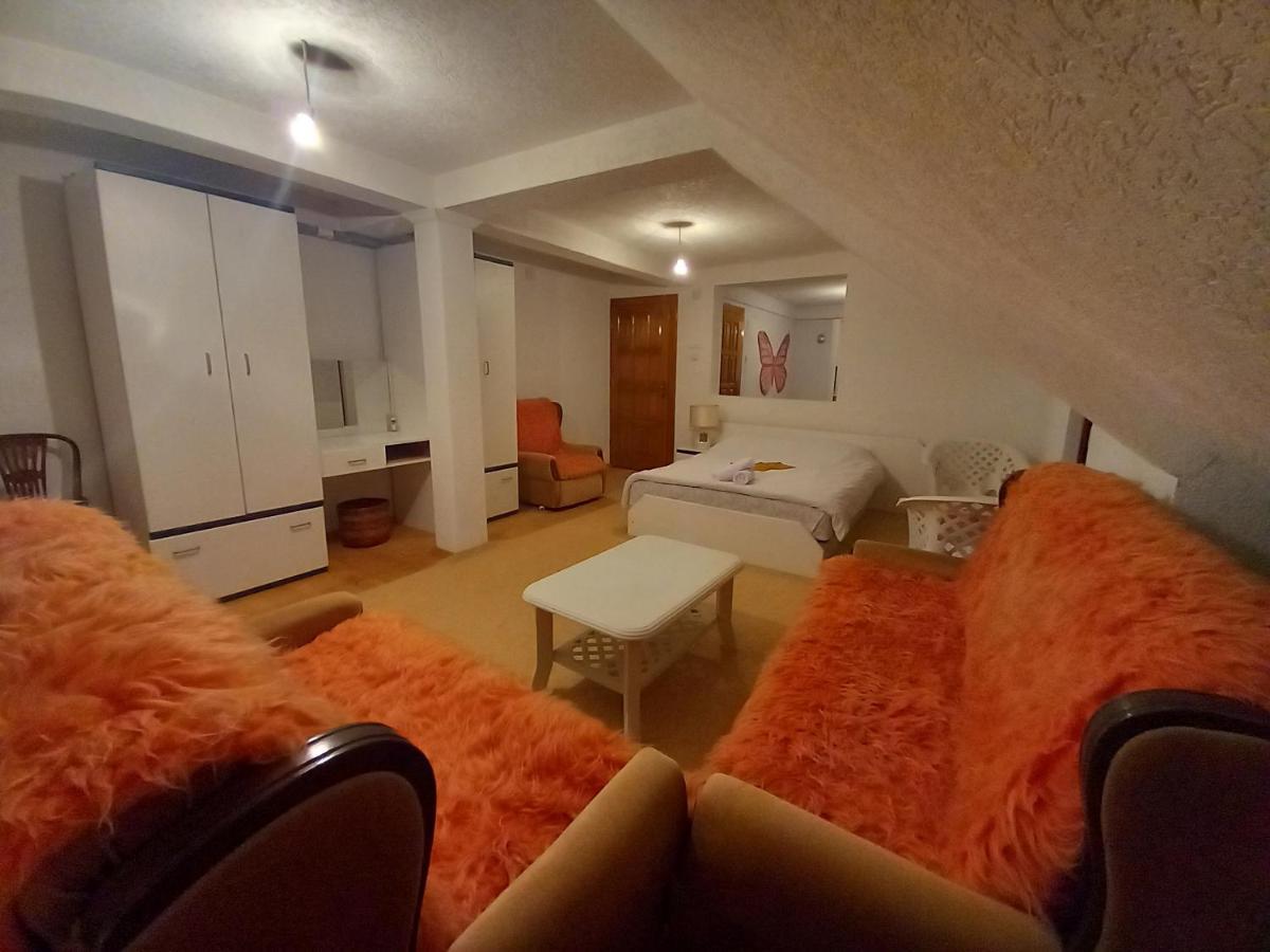 Little Village Apartment